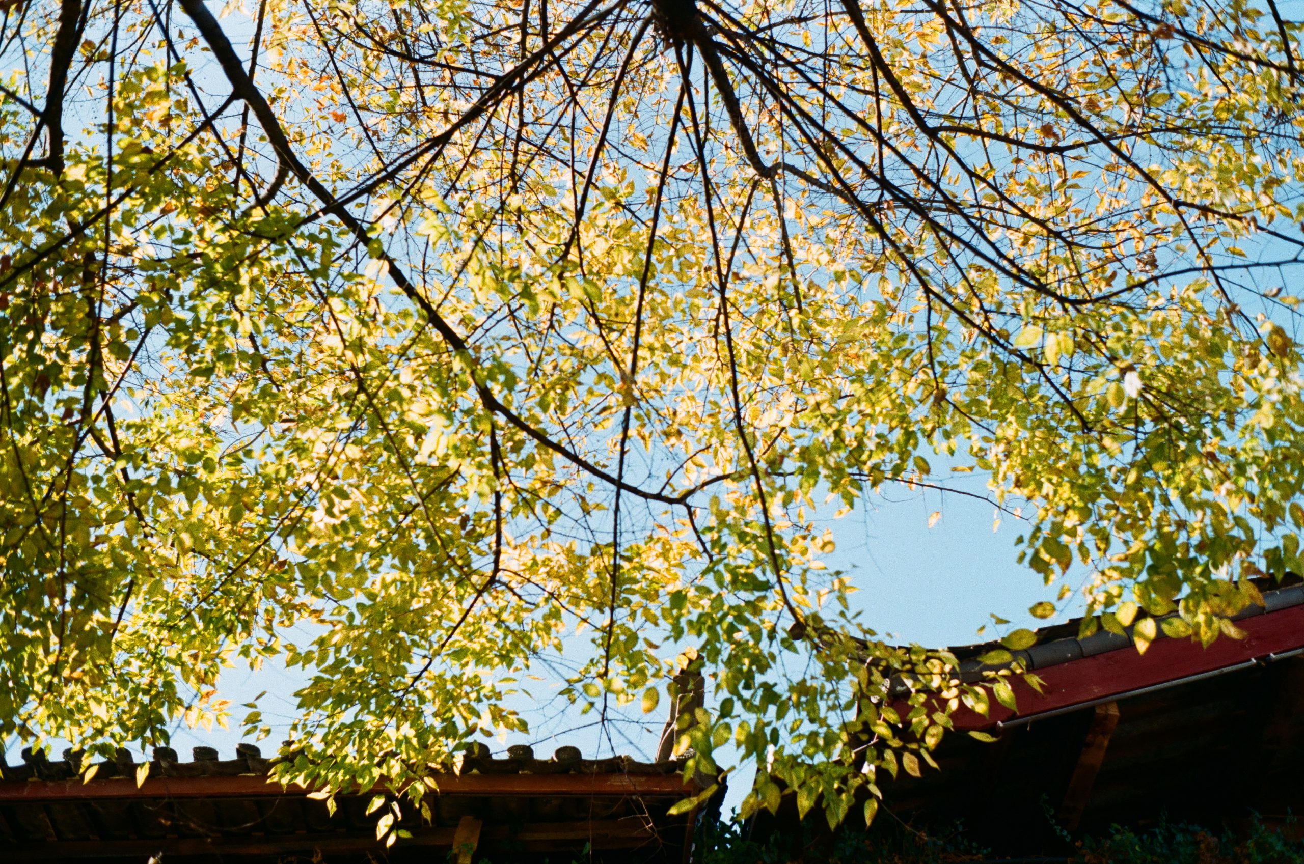 du lich lệ giang tự túc